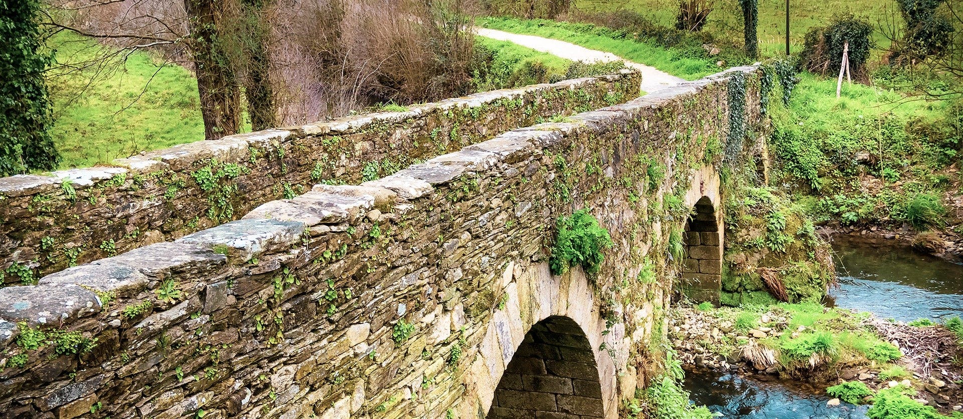 Pilgrimage Journey: The Camino de Santiago