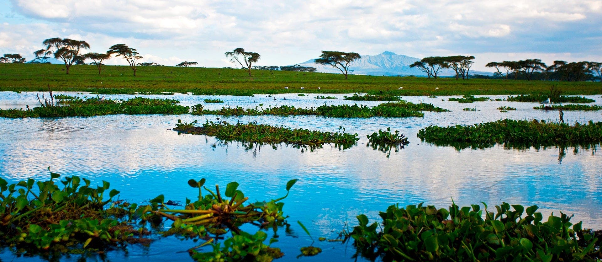 Best safari parks: Maasai Mara & Serengeti