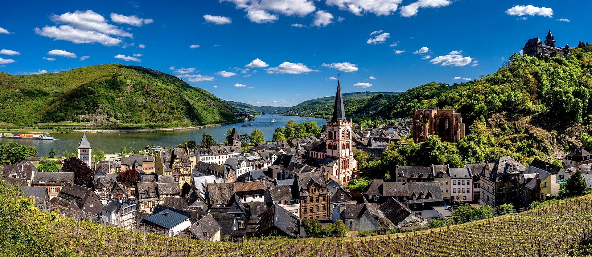 Romantic Germany: Rhine Valley & Bavaria