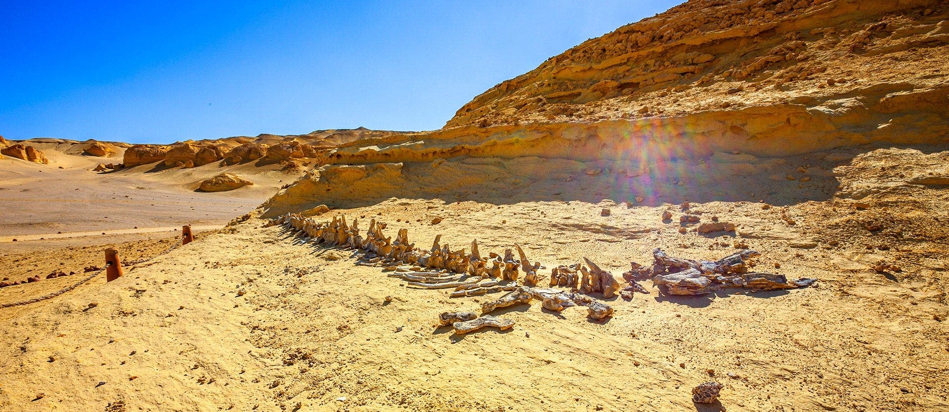 Egyptian gems: Siwa, Nile cruise & desert