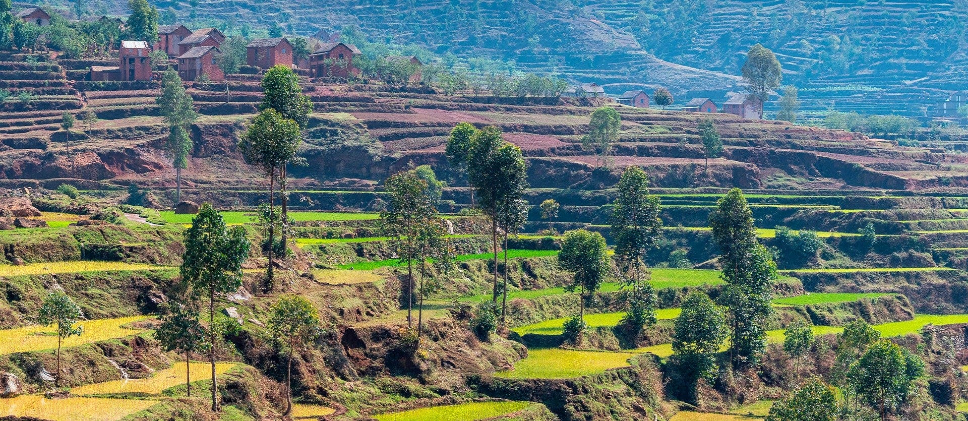 Lemurs, baobabs & Malagasy coast