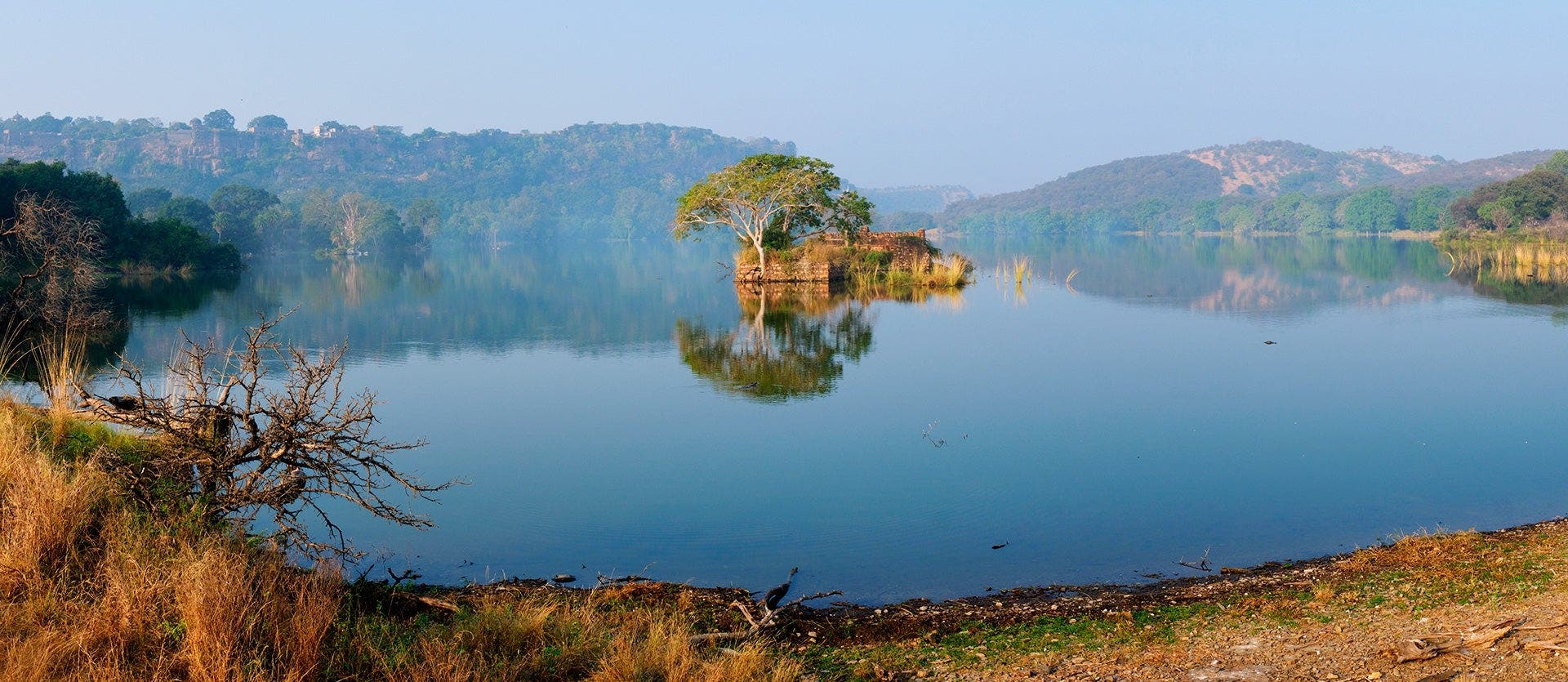 Amazing Tiger Safari & Classic Taj Mahal