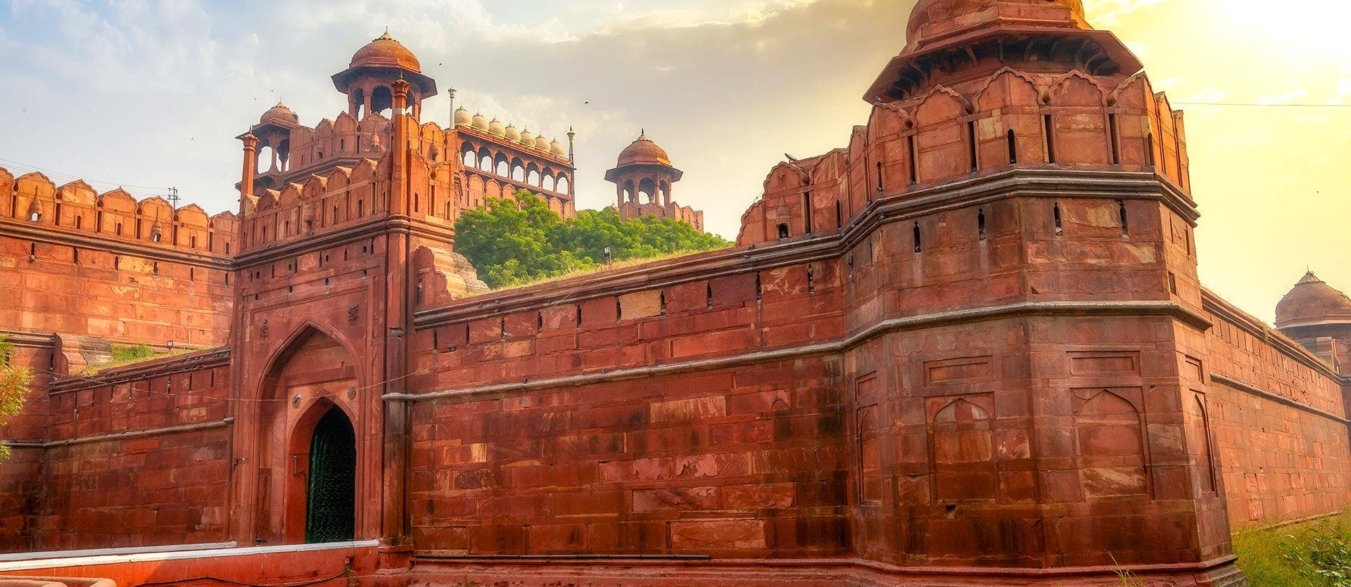 Amazing Tiger Safari & Classic Taj Mahal