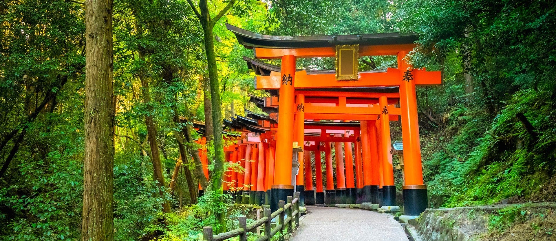 Self-Guided Land of the Rising Sun