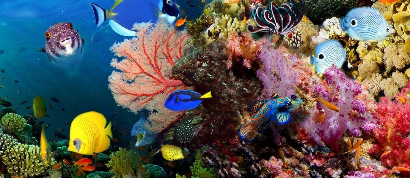 Riviera Maya-All-inclusive