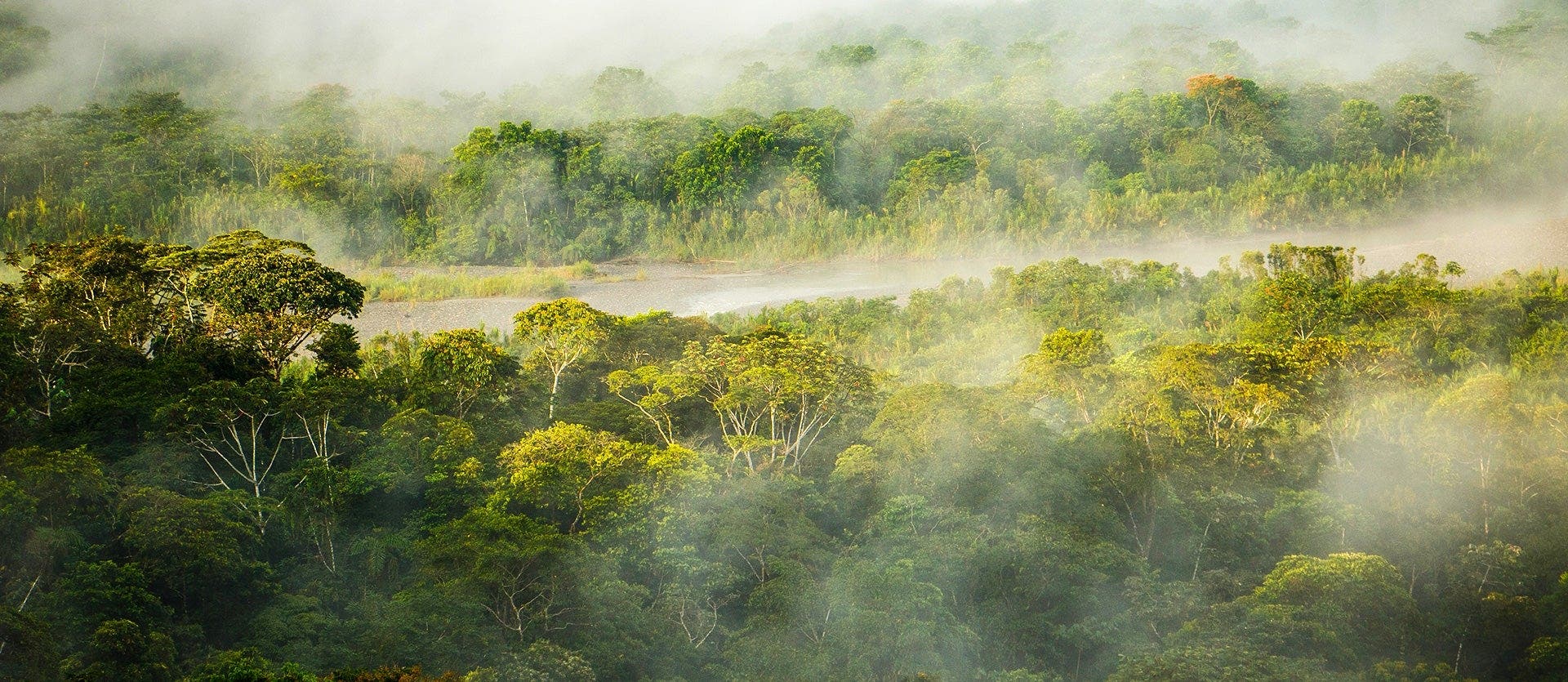 Amazonas und Inselhüpfen auf Galapagos
