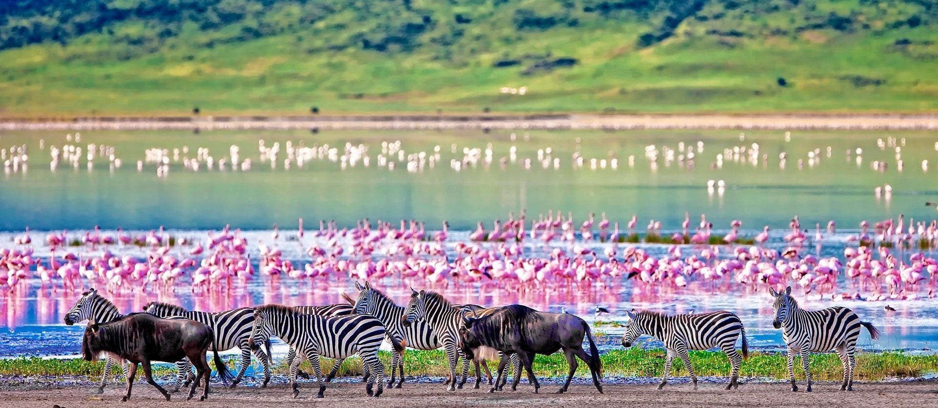 Serengeti, Ngorongoro und Tarangire