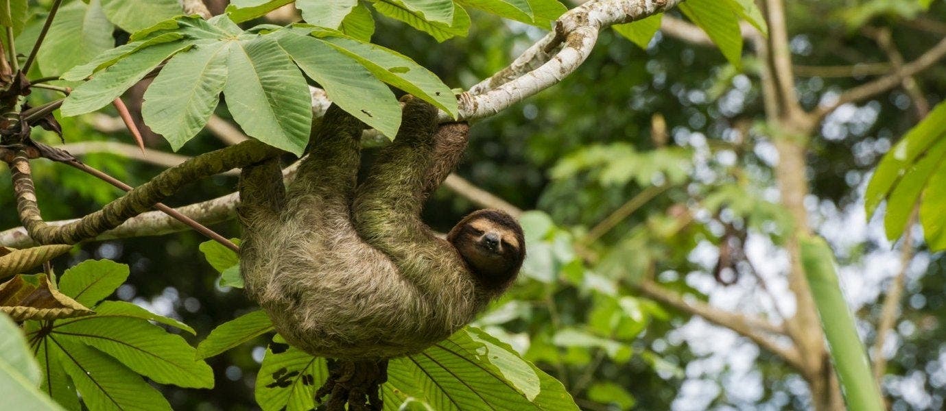 Panamas Wunder der Natur
