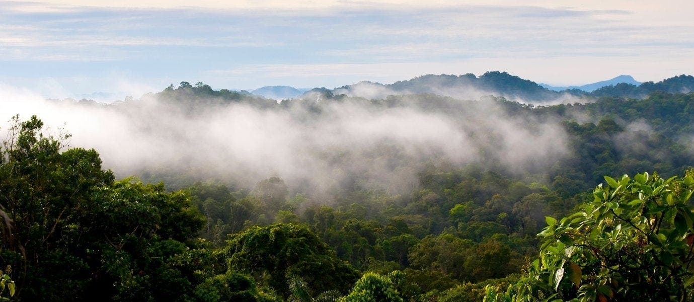 Panamas Wunder der Natur