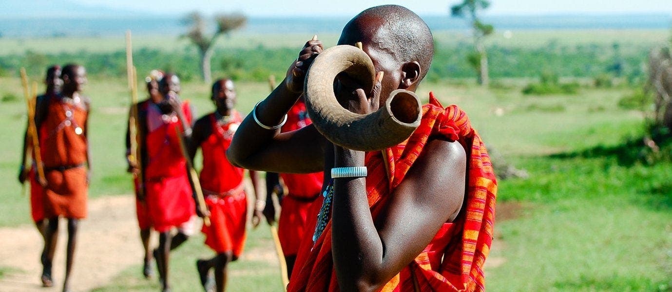 Die wilde Seite Afrikas