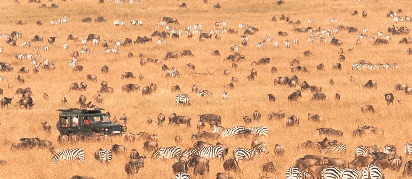 Best safari parks: Maasai Mara & Serengeti