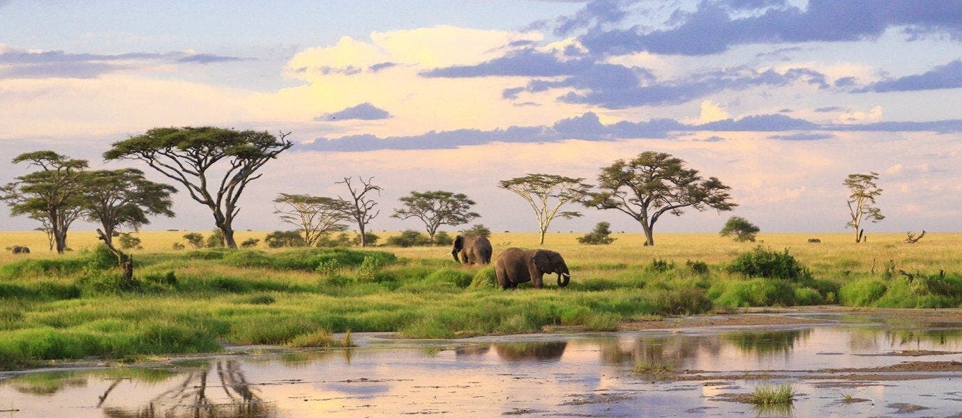 Best safari parks: Maasai Mara & Serengeti