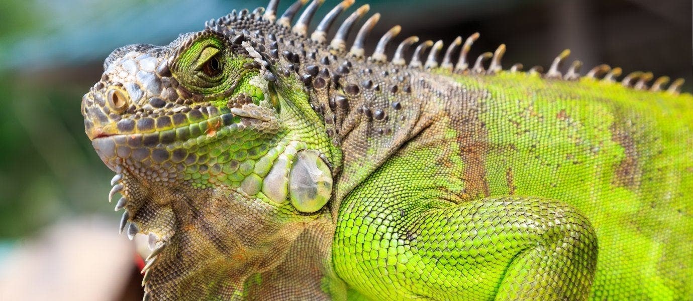 Escapade tout compris sur la Riviera Maya