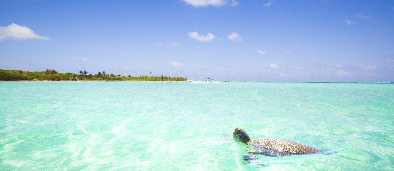 Riviera Maya-All-inclusive