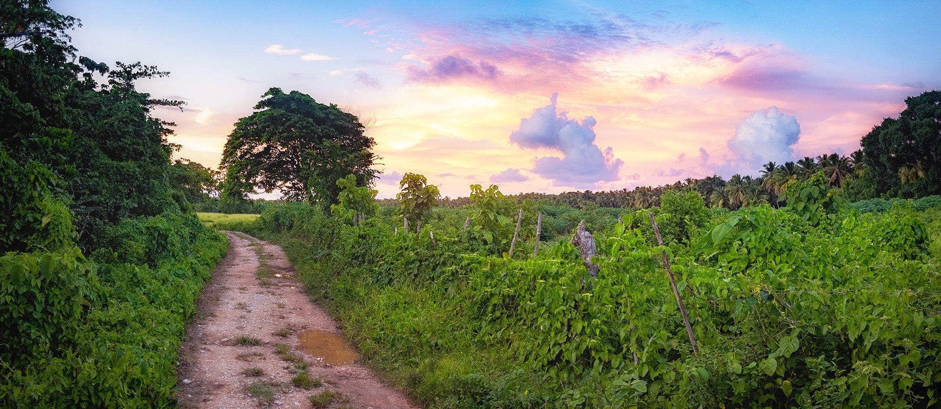 All-Inclusive escape to Samana