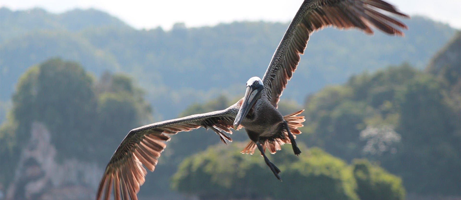 Santo Domingo, Highlands & All-Inc. 5*