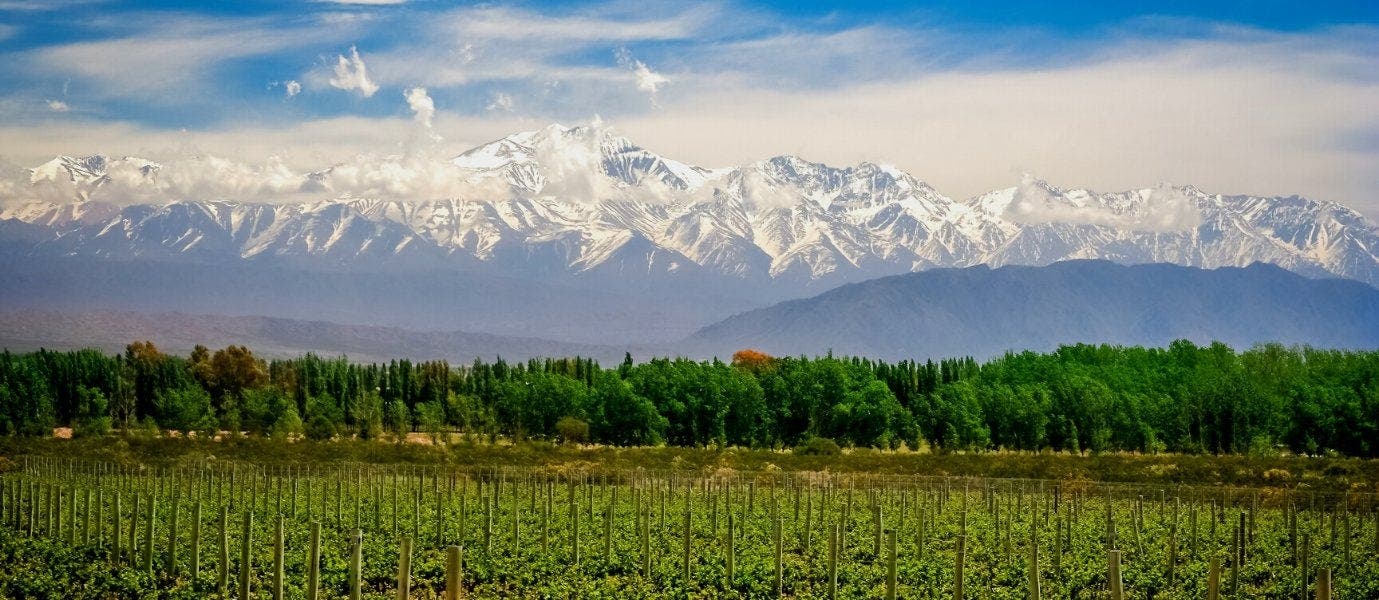 Capitales latinas y viñedos de Mendoza