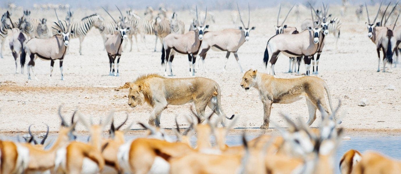 Safari, Dunes de sable et Monts Naukluft