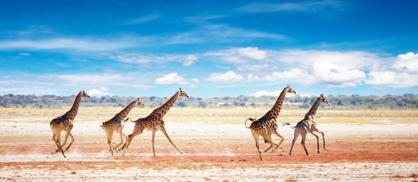 Safari, Dunes de sable et Monts Naukluft