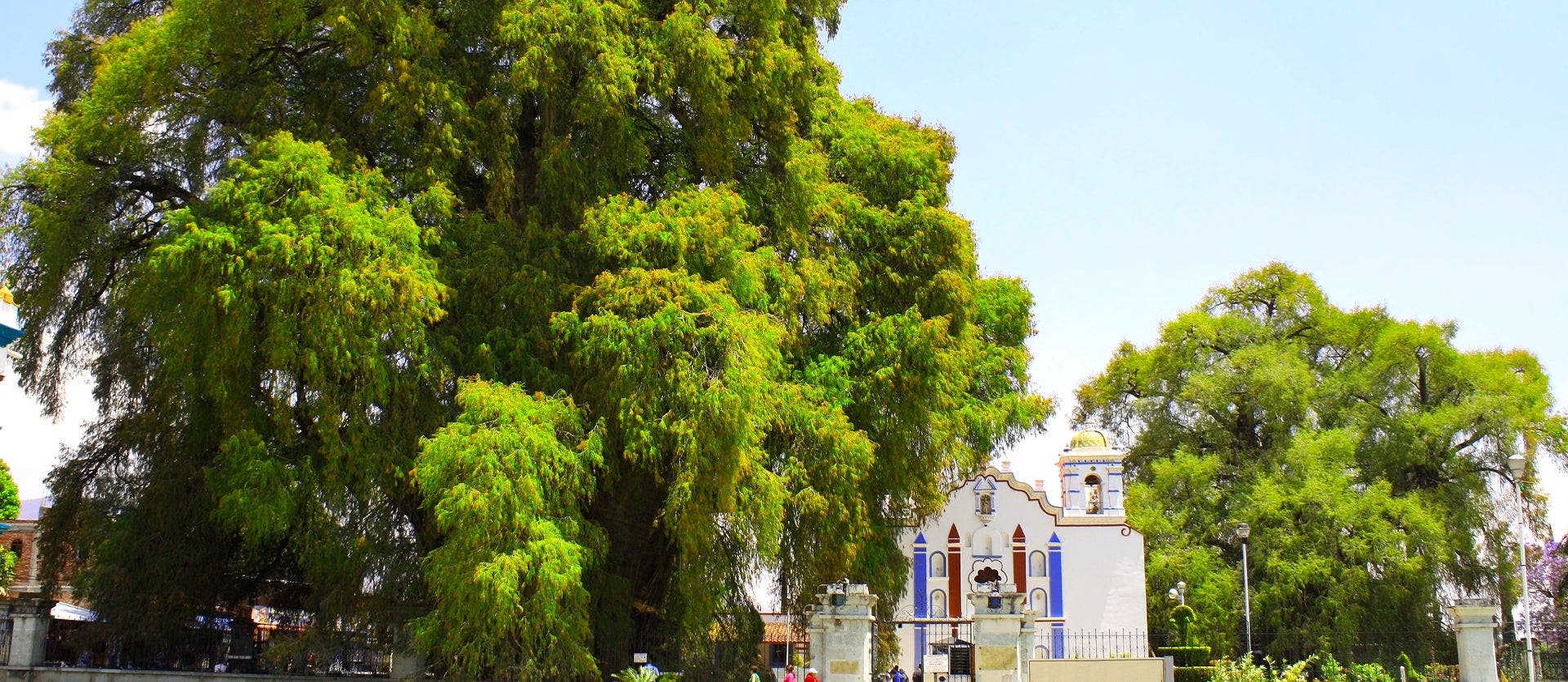 Essential Cities & Ancient Civilizations