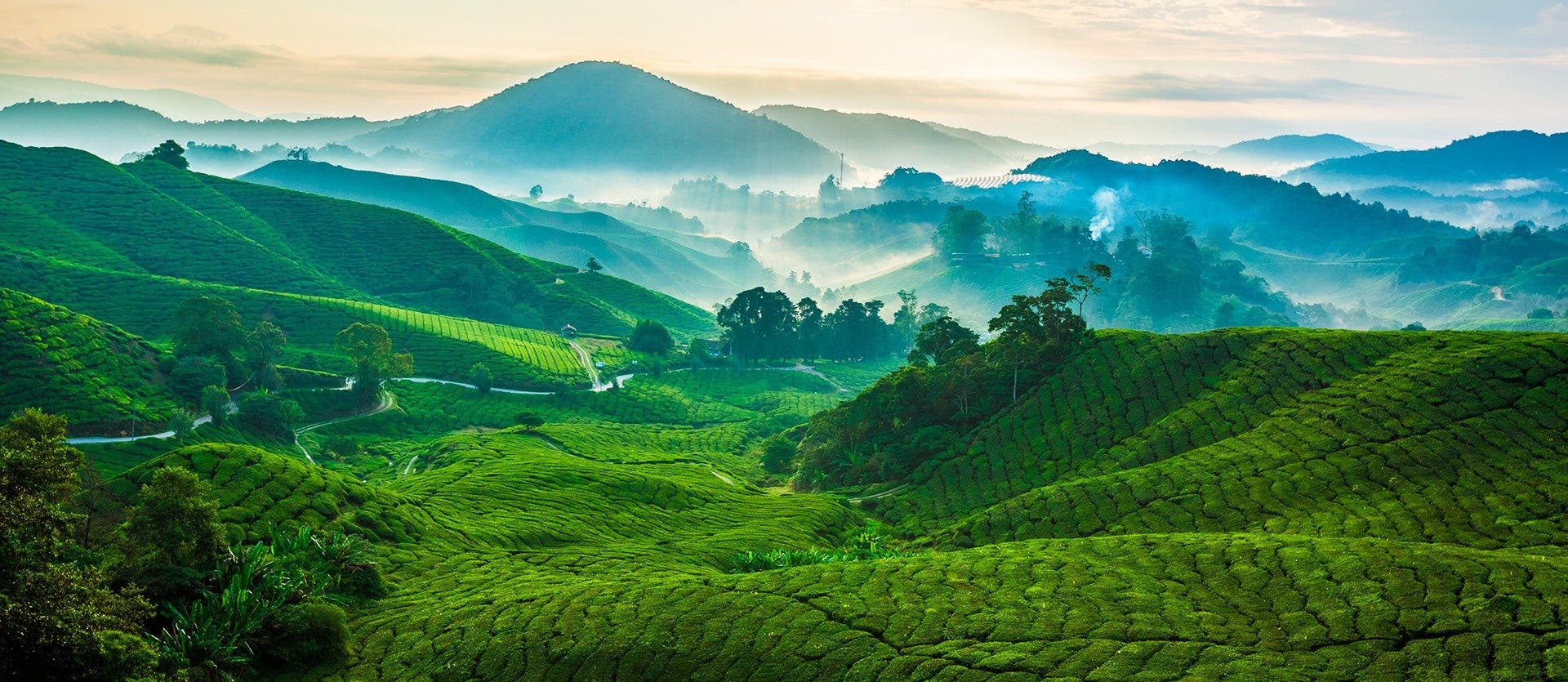 Super Cities & Tropical Paradise Escape