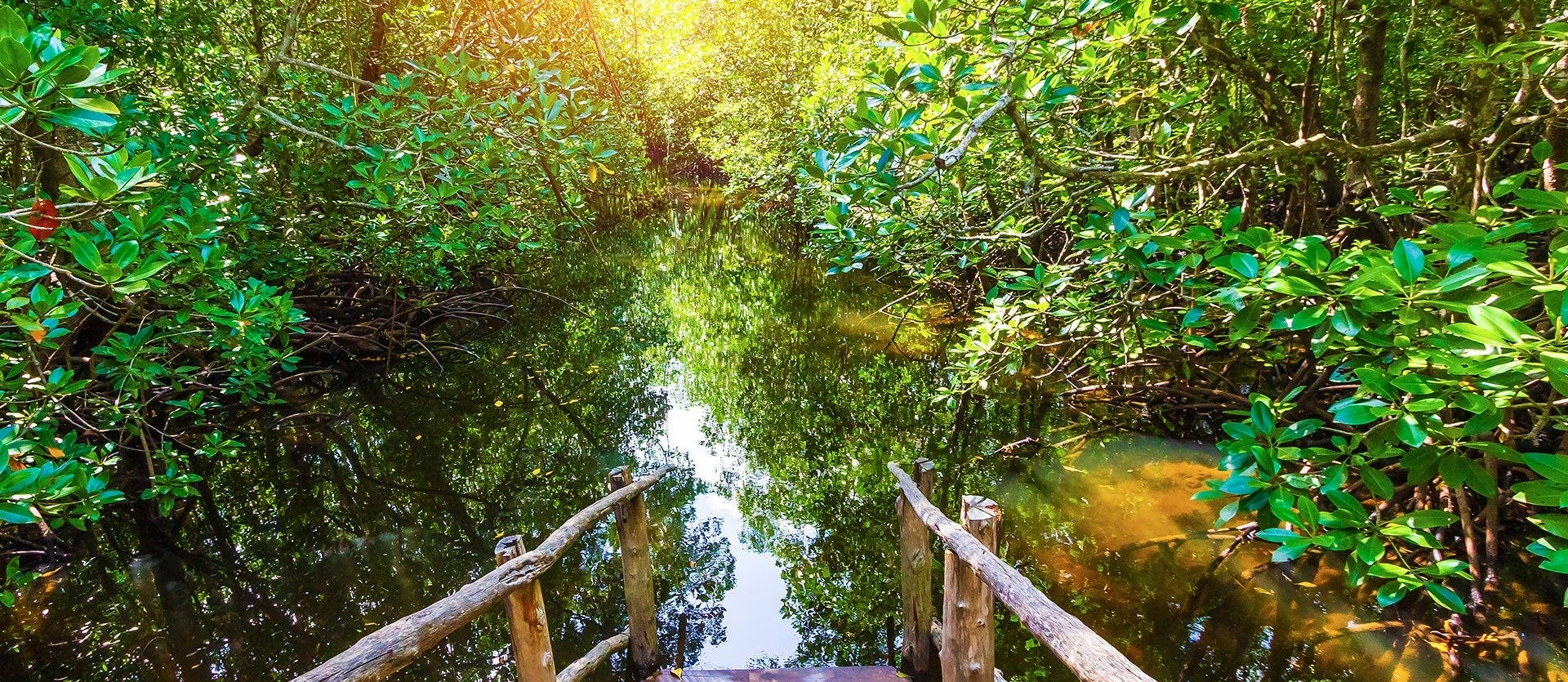 Kruger, Ciudad del Cabo y Zanzíbar
