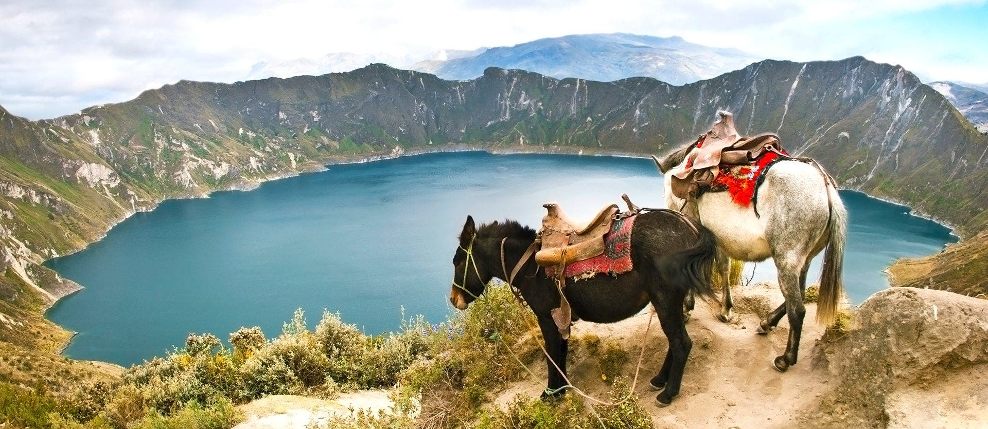 Découverte tropicale aux îles Galápagos