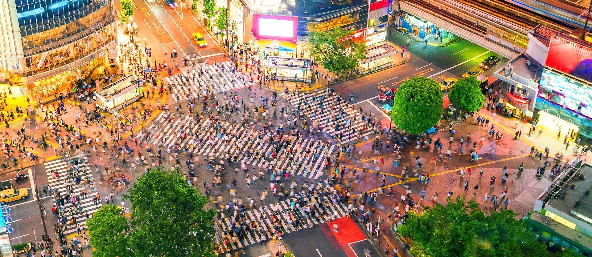 Japón autoguiado y escapada a Maldivas