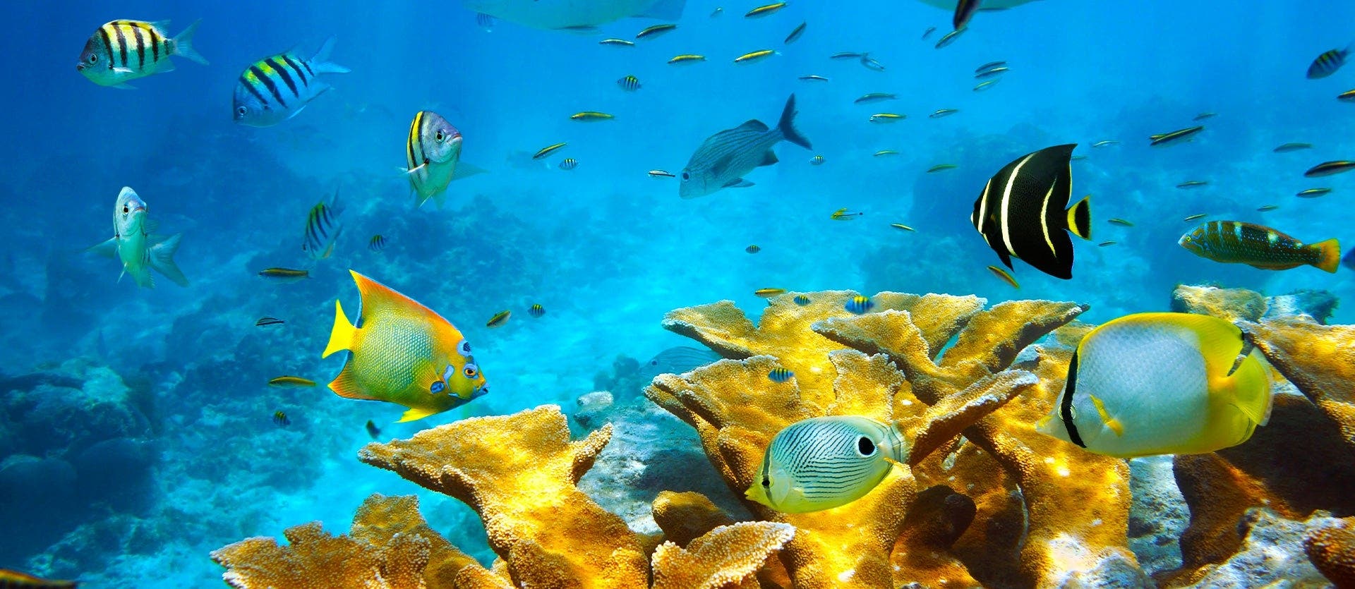 Cities & All inclusive in San Andres