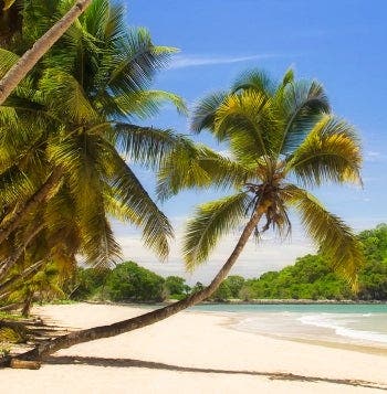 La Tierra de los Baobabs y Las Islas