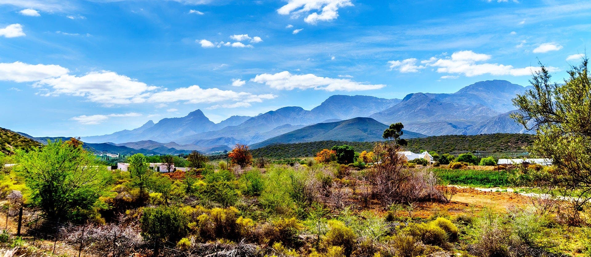 Safari, Ciudad del Cabo y Knysna