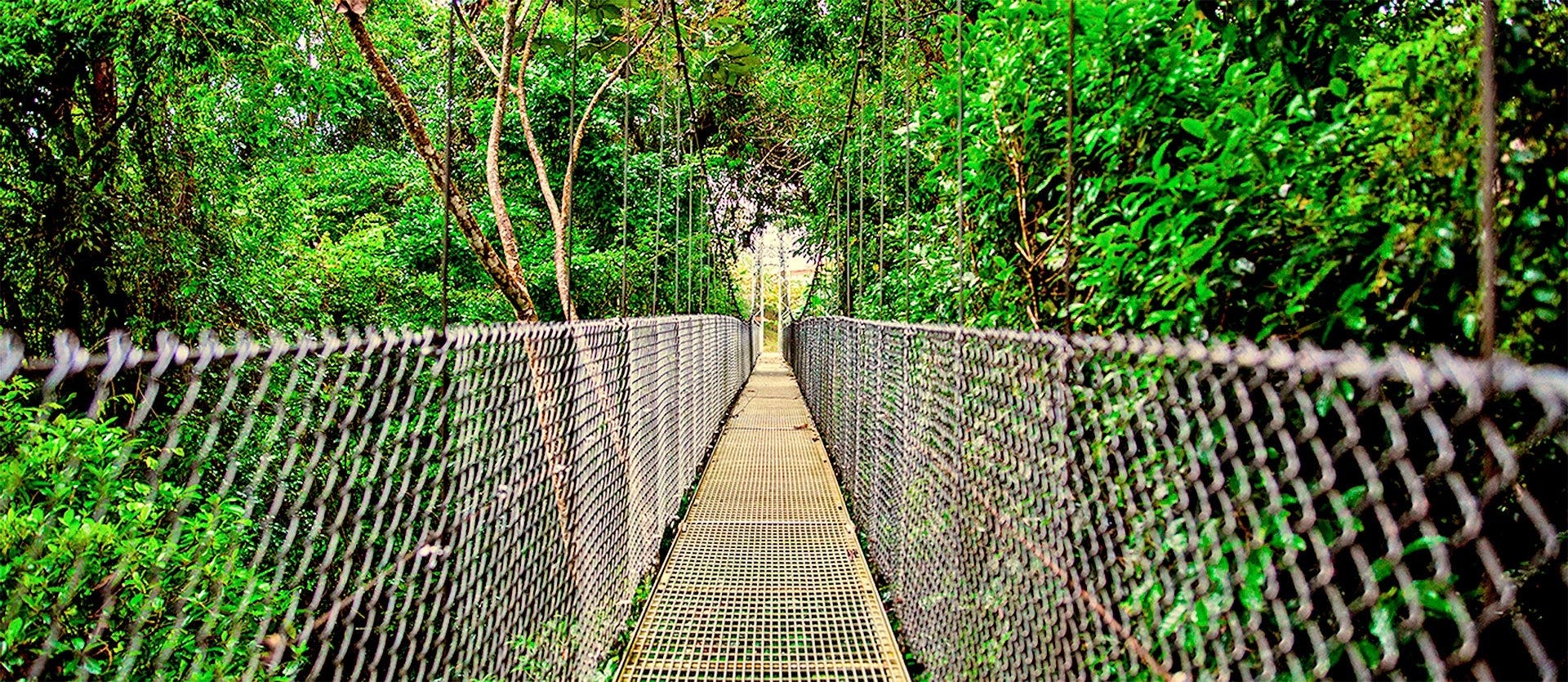 Tropical Breeze & All Inclusive in Jaco