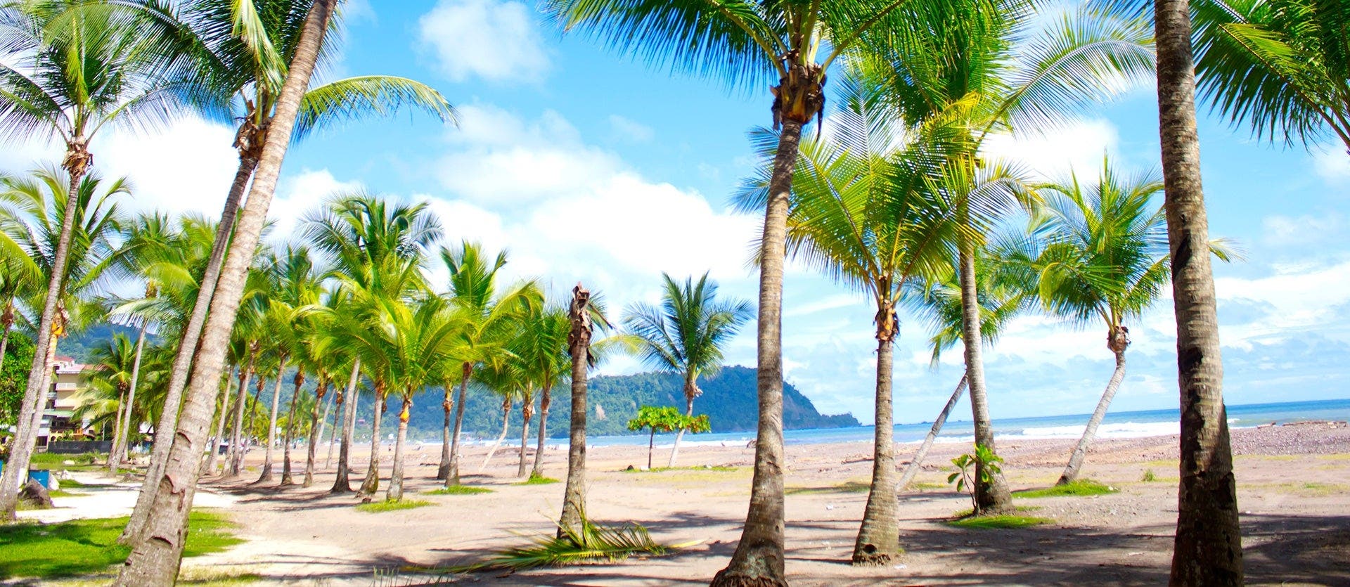 Tropical Breeze & All Inclusive in Jaco