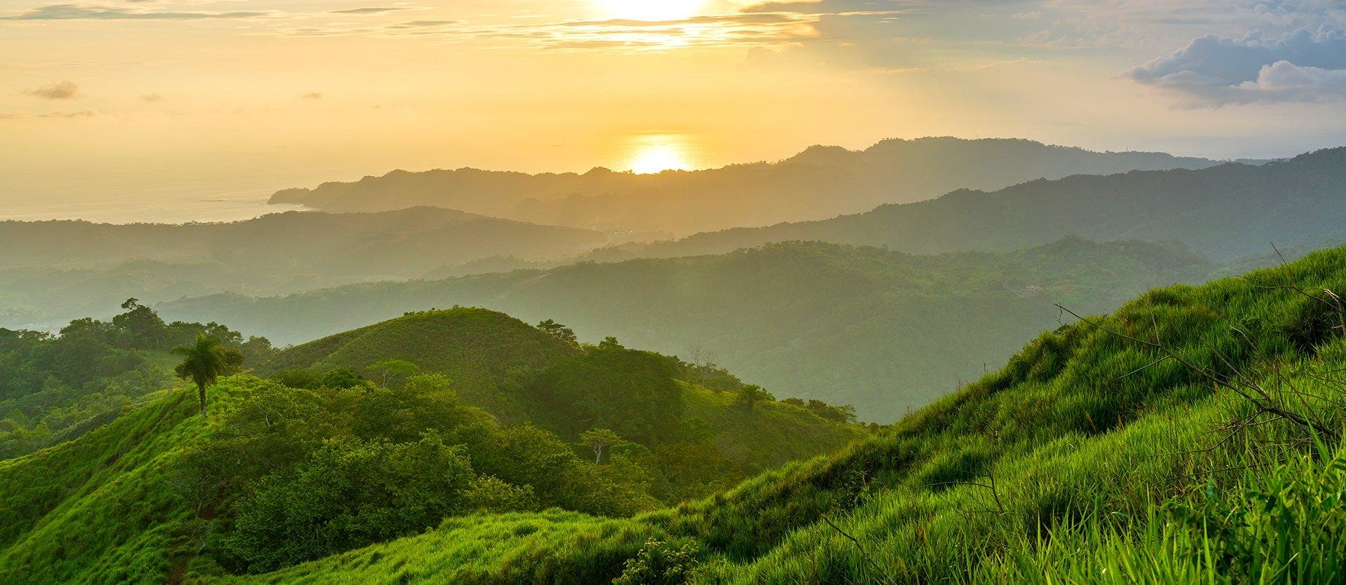 Tropical Breeze & All Inclusive in Jaco