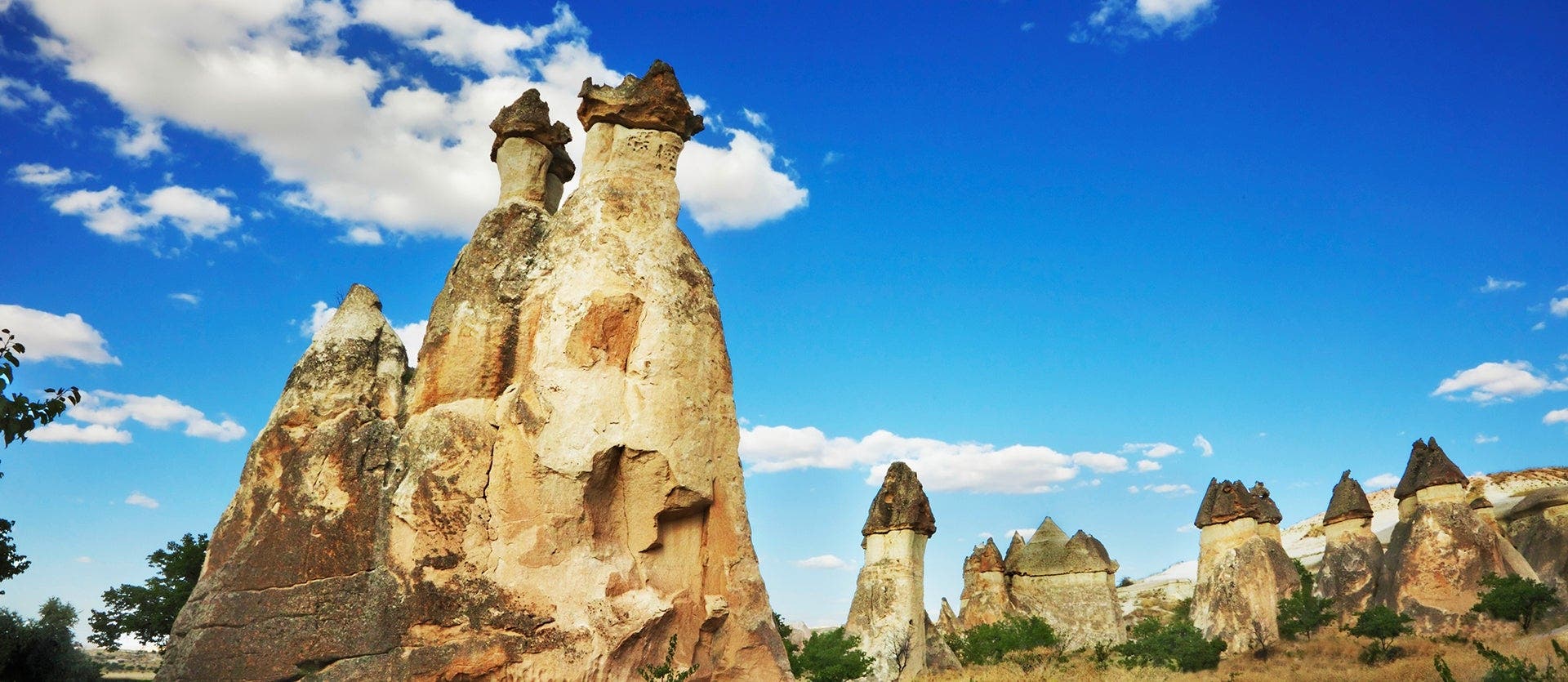 Delights and magical sights