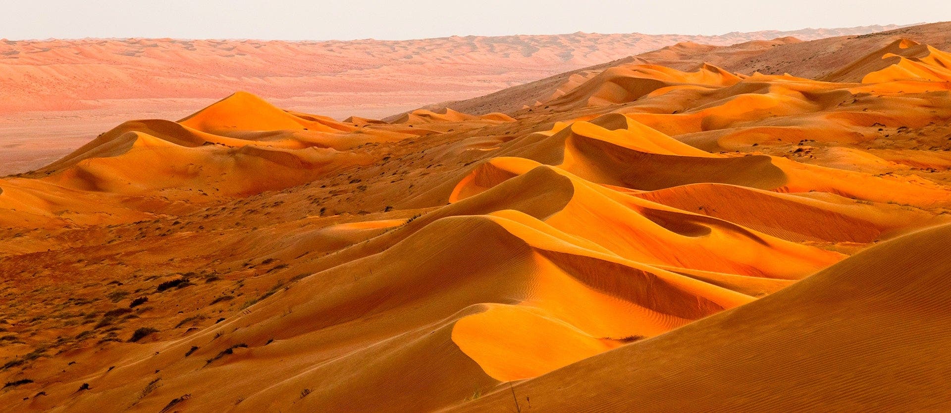 Cities and Sand Dunes: Emirates & Oman