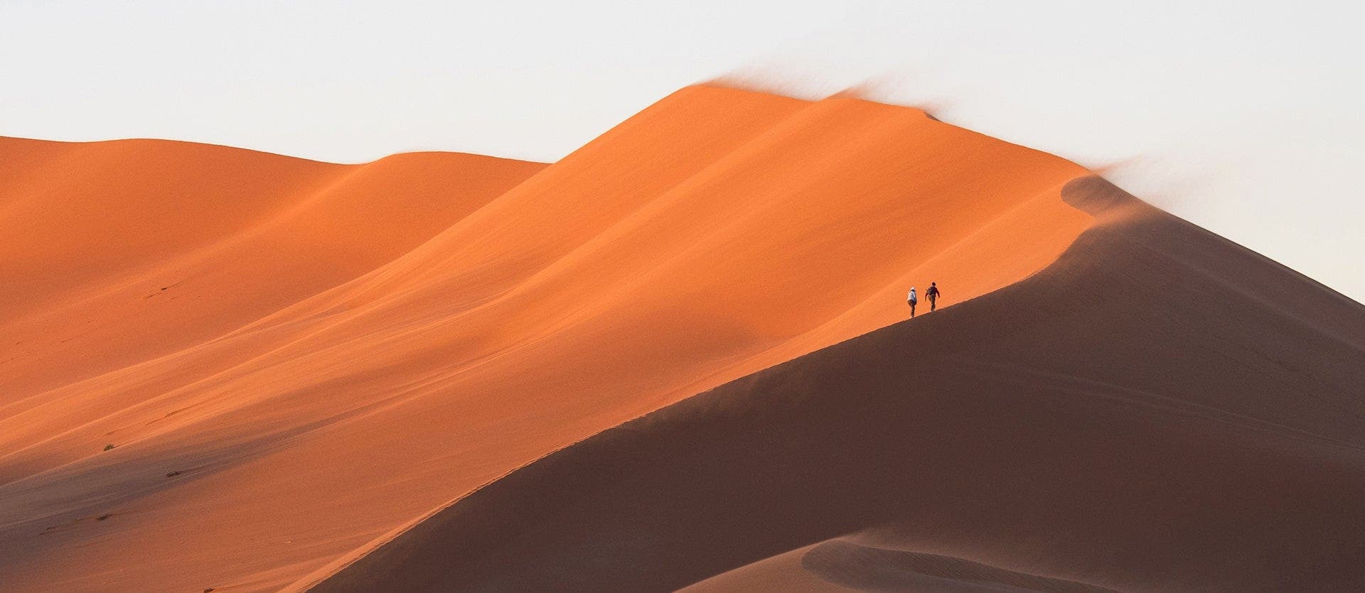 Essence of Namibia: Dunes & Skeleton Trees