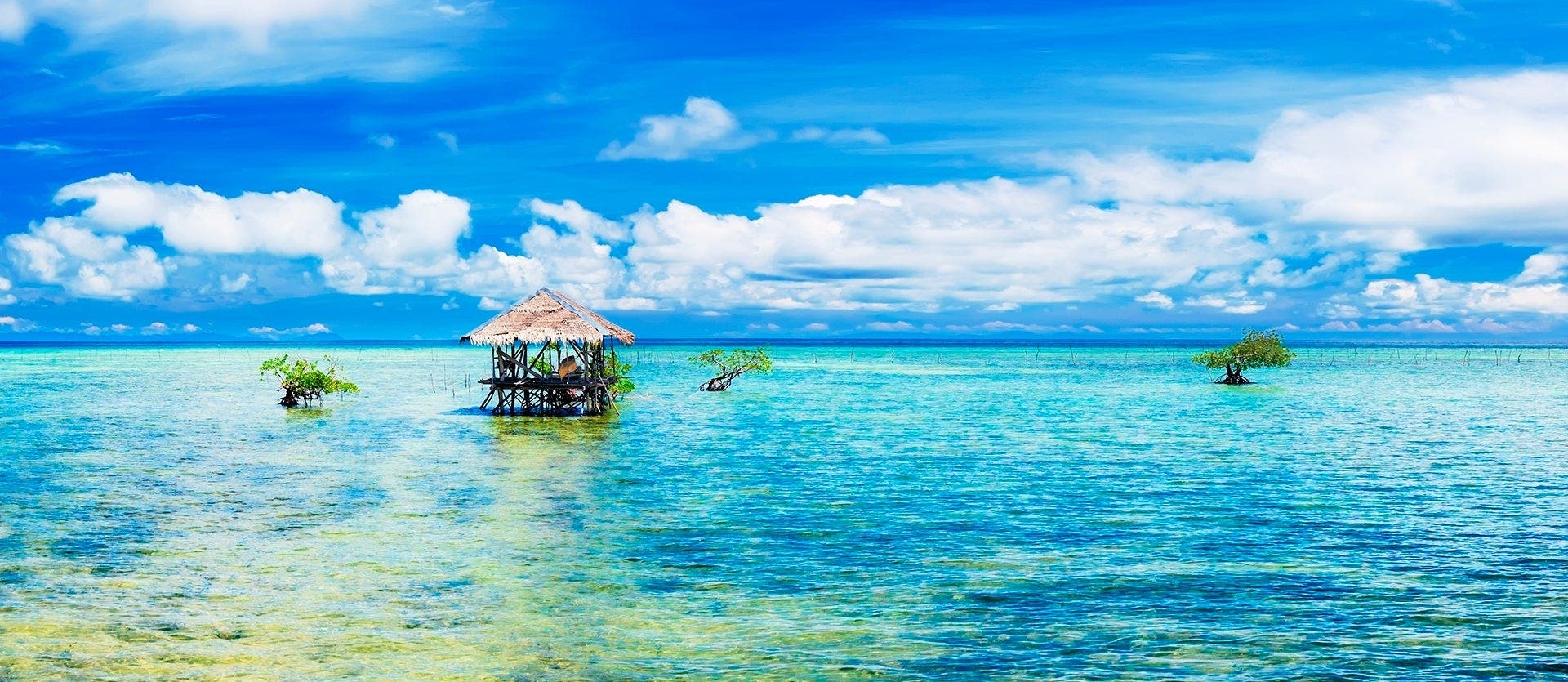 Philippines 360: Beaches, Jungles, History