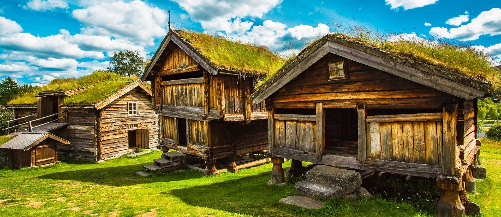 Nordic Paradise: Fjords & Railway Journey