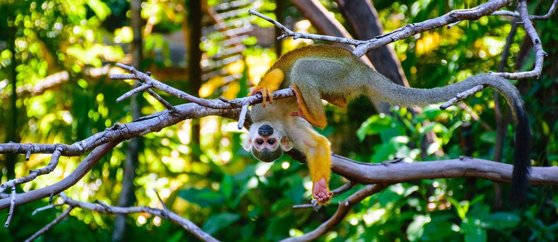 Amazon & Island Hopping in Galapagos