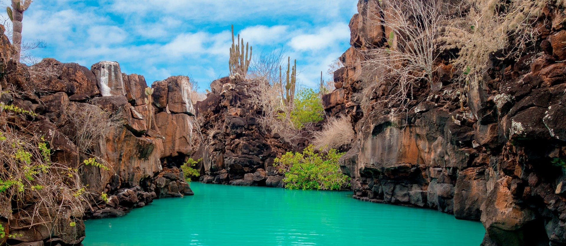 Amazon & Island Hopping in Galapagos