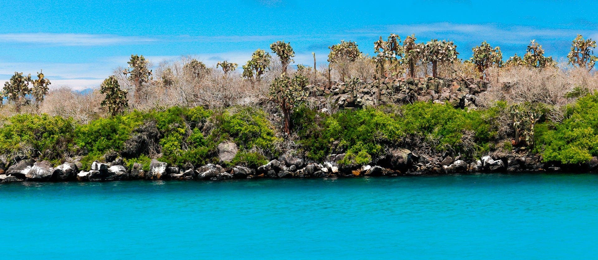 Ecuador 360: Cities & Santa Cruz Island