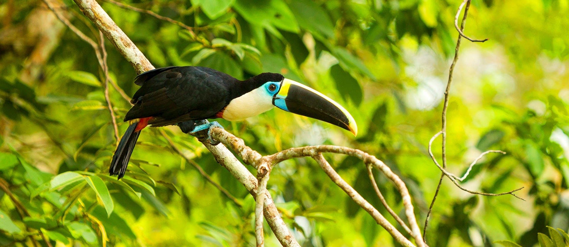 Amazon & Island Hopping in Galapagos