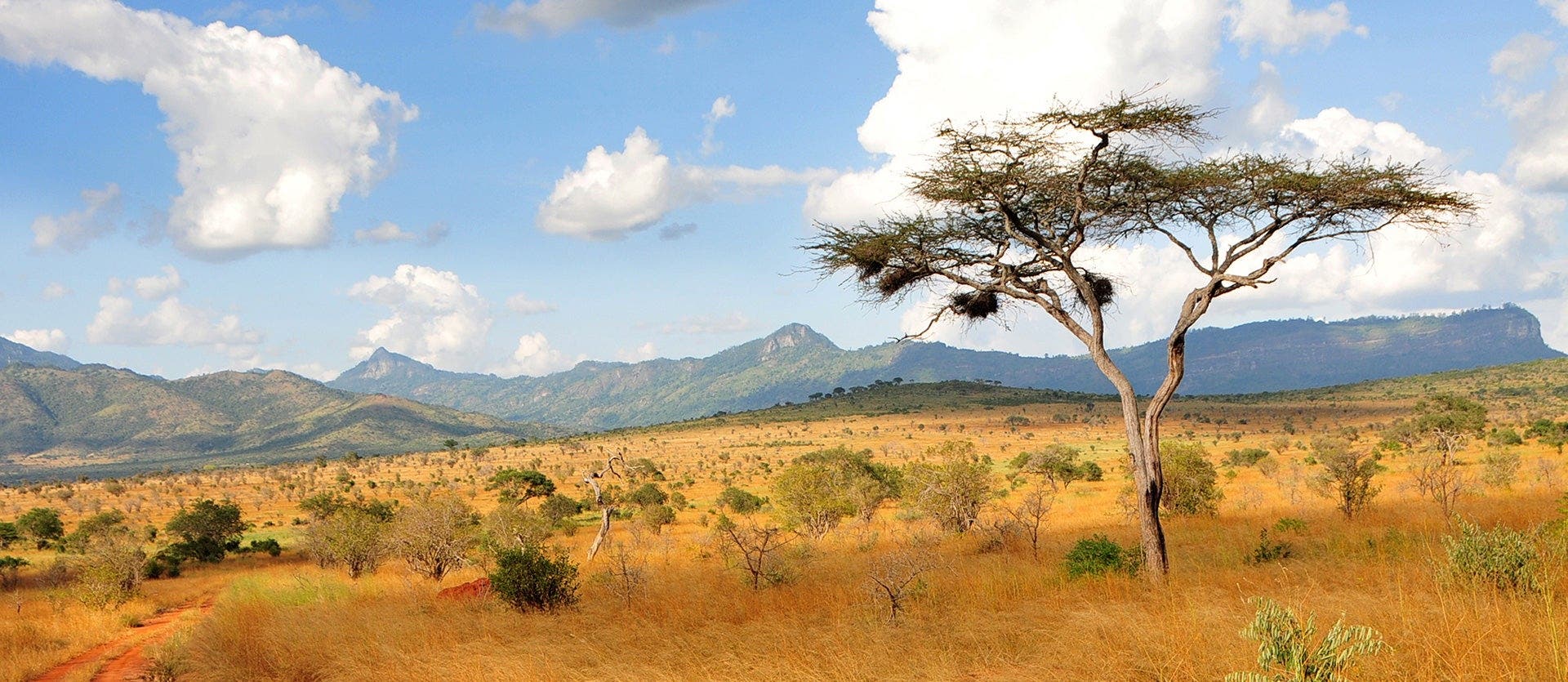 Wonderful Wildlife and White-Sand Beaches