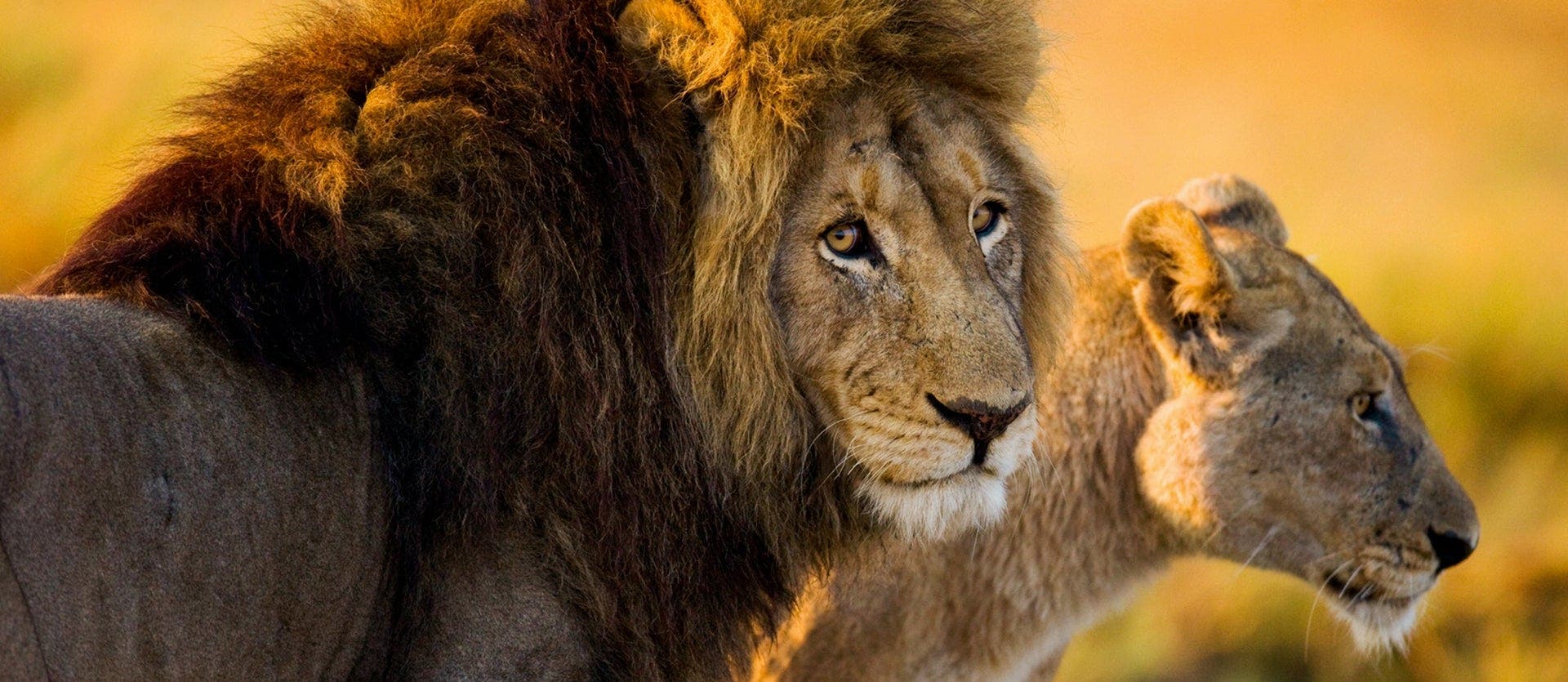 Wonderful Wildlife and White-Sand Beaches