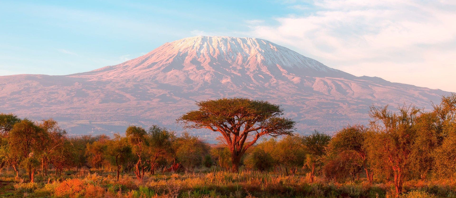 Wonderful Wildlife and White-Sand Beaches