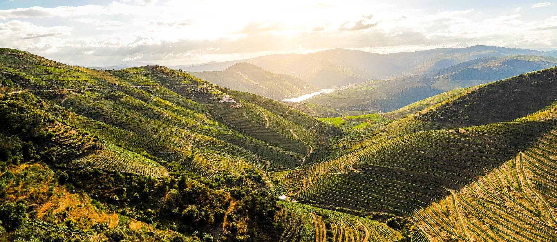 Seaside cities & the majestic Douro Valley