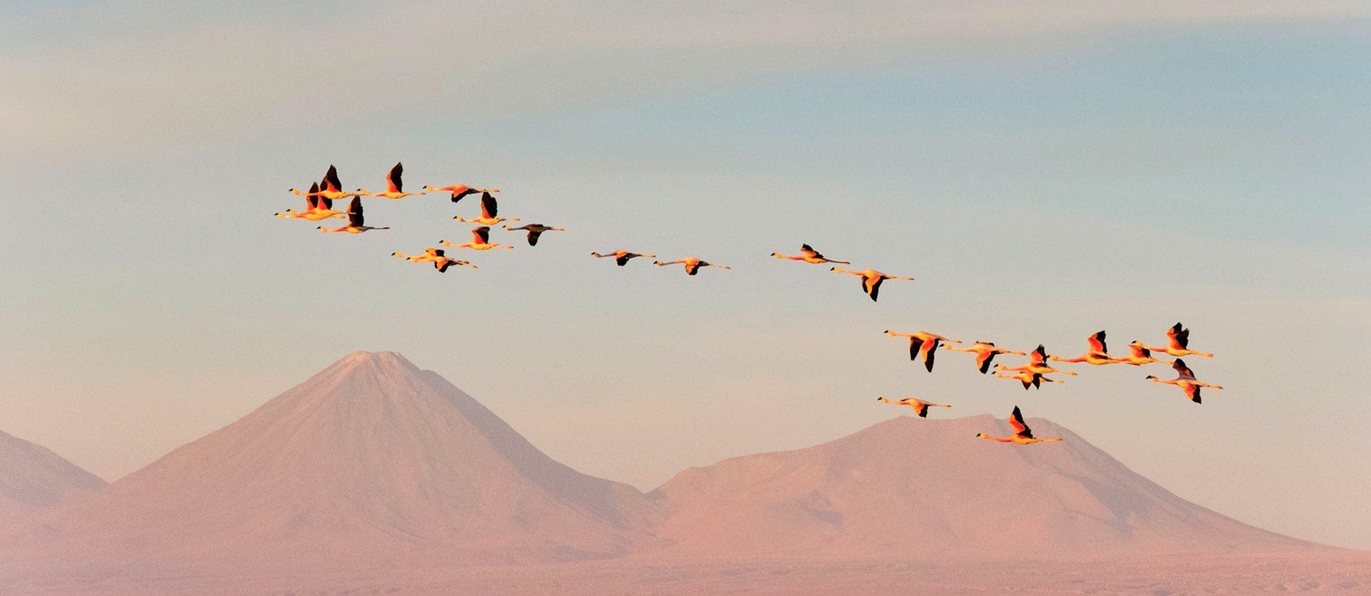 Cities, Moonscapes & Mystic Easter Island
