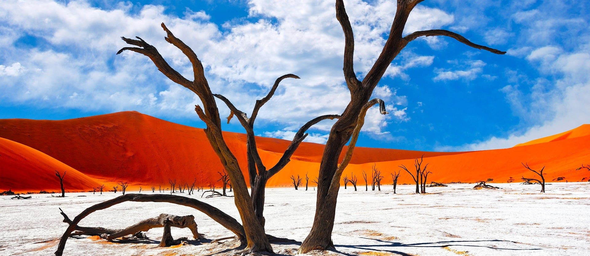 Victoria Falls, Safari Days & Giant Dunes