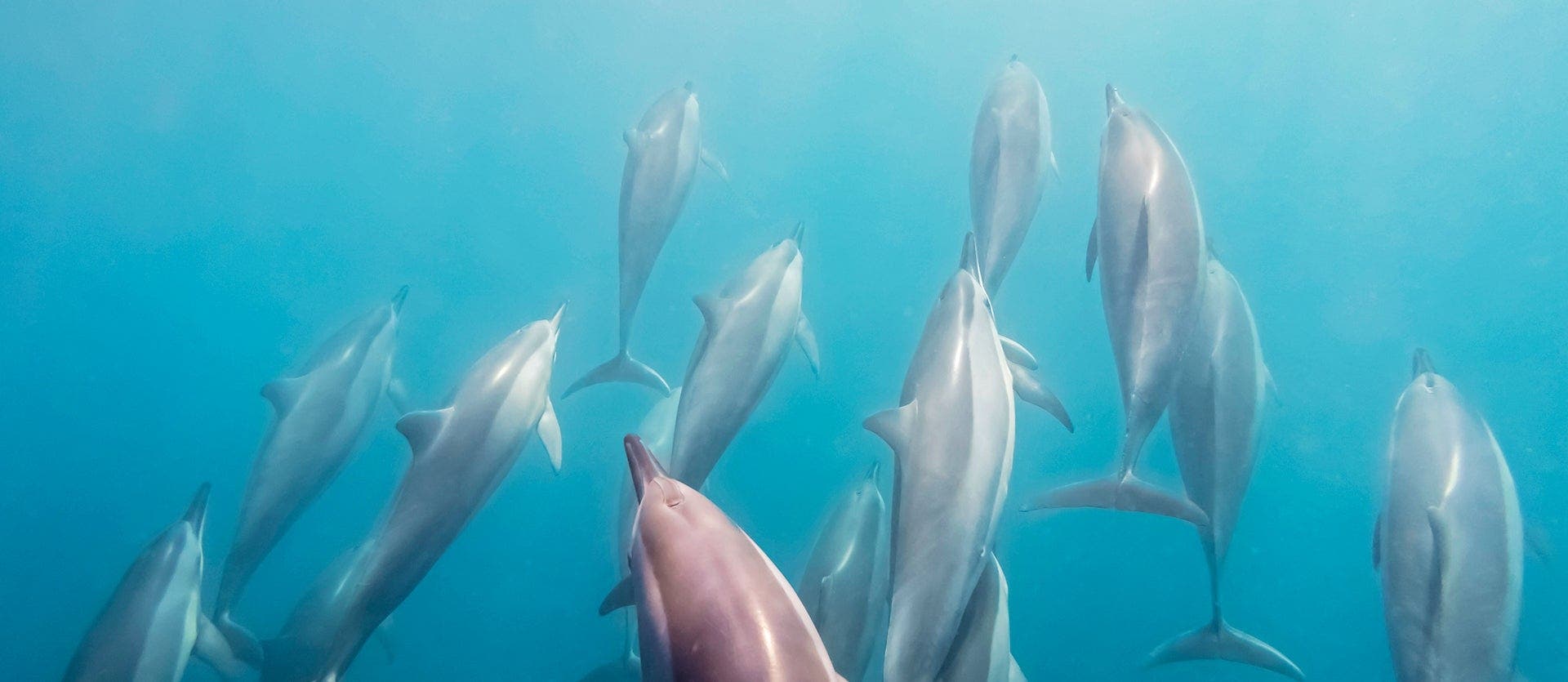 Alluring African Paradise